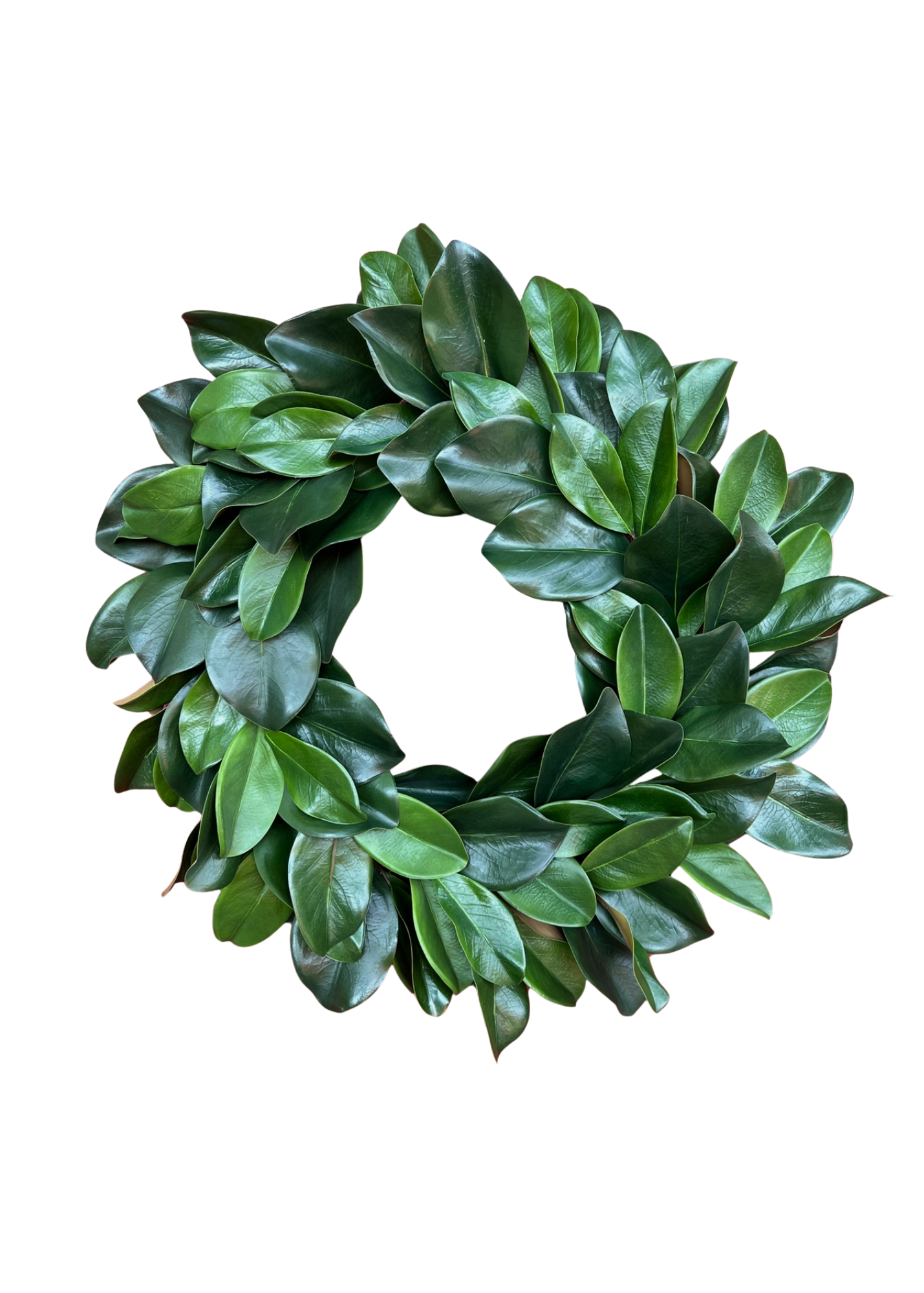 Deluxe large magnolia wreath 26”