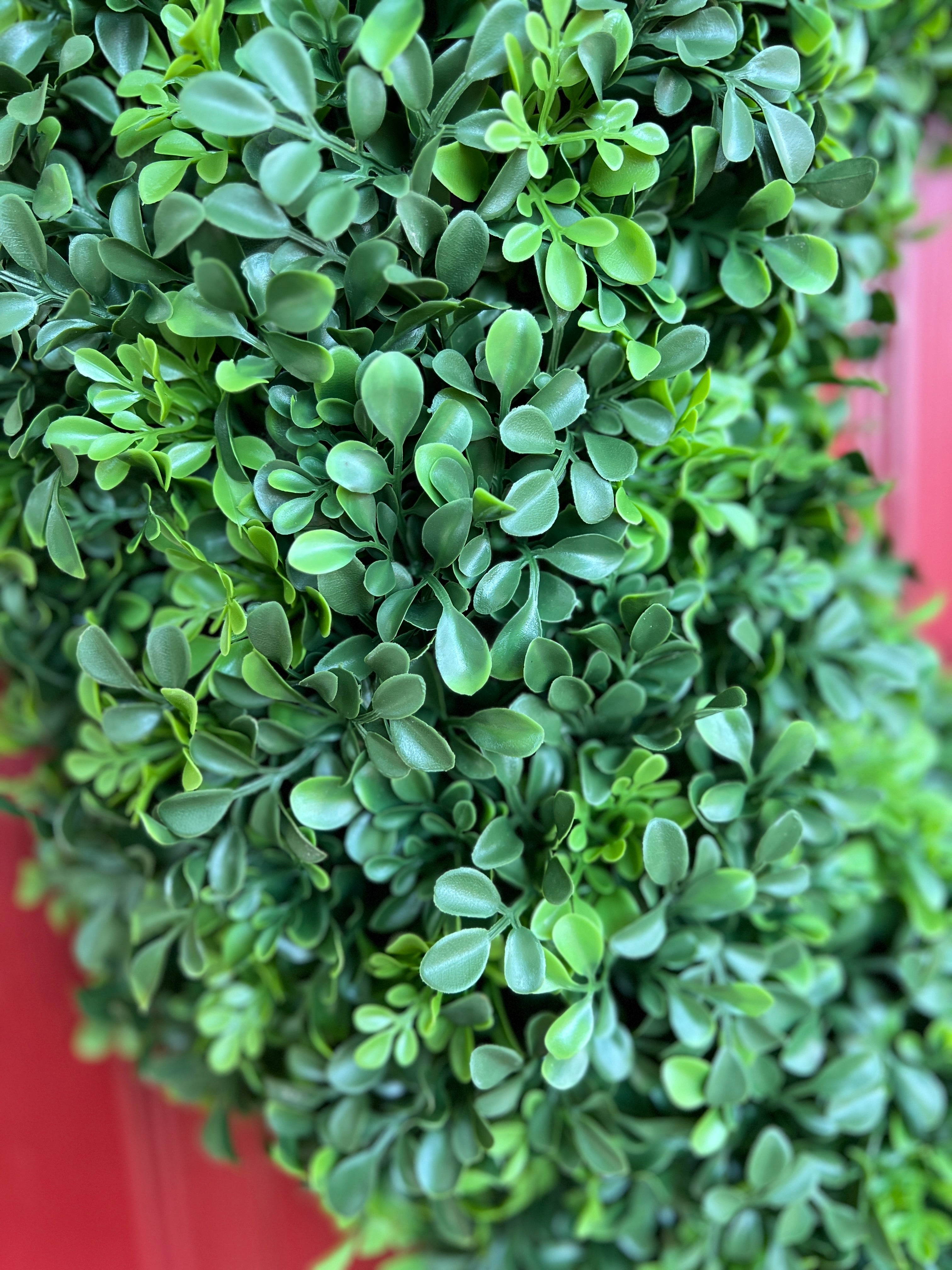 Faux boxwood wreath 22”