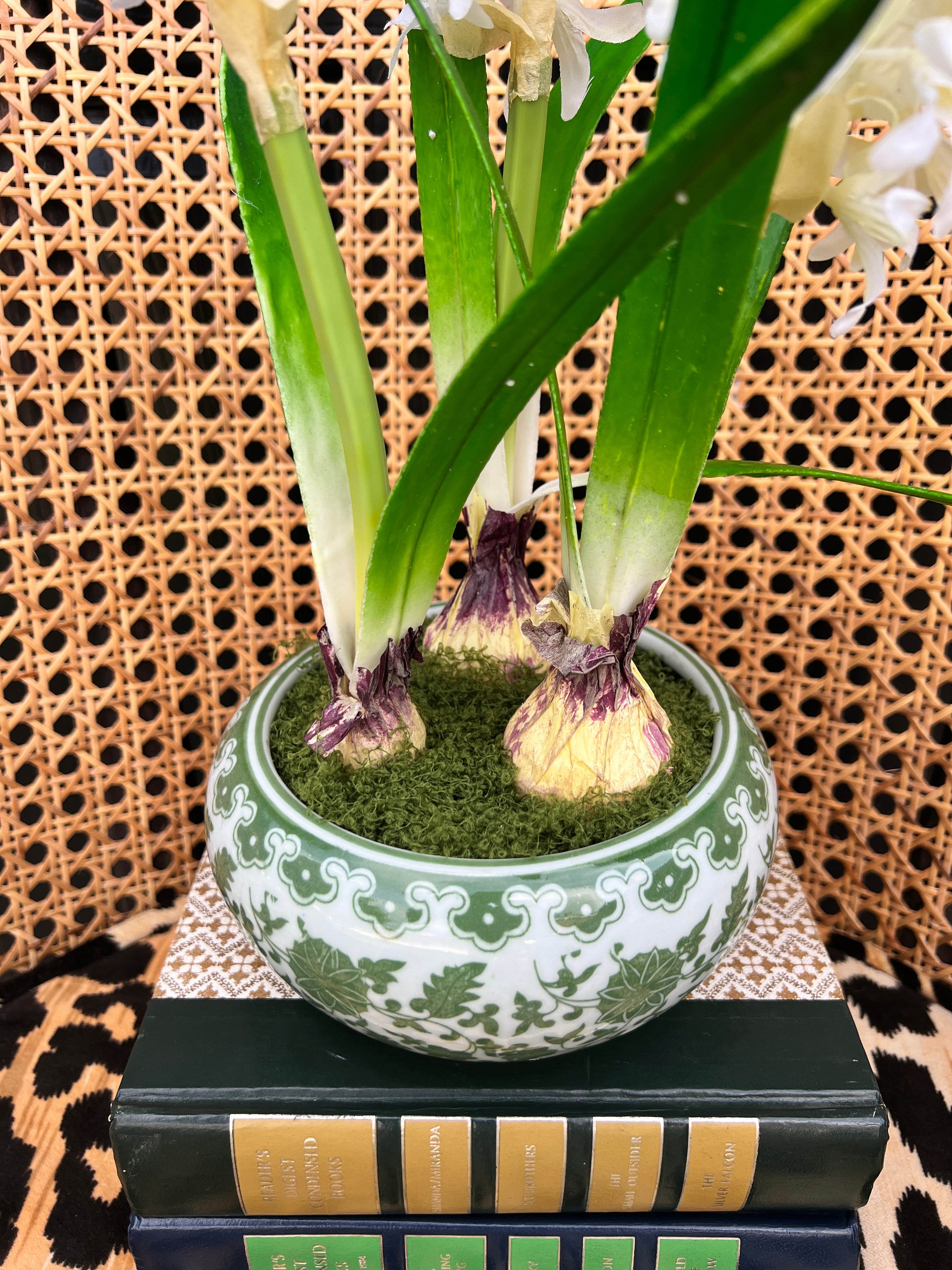 Faux Hyacinth bulbs in green and white chinoiserie planter