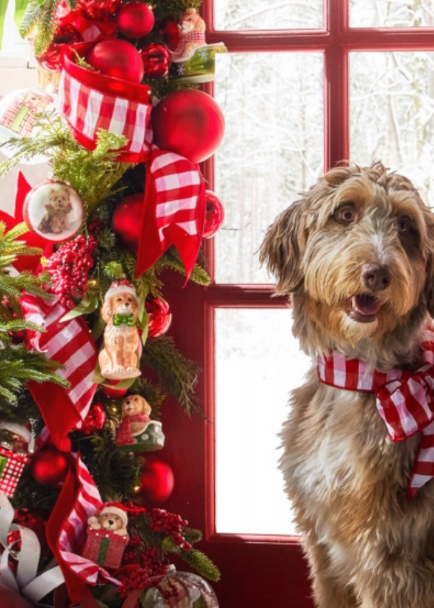 Large red gingham check ribbon