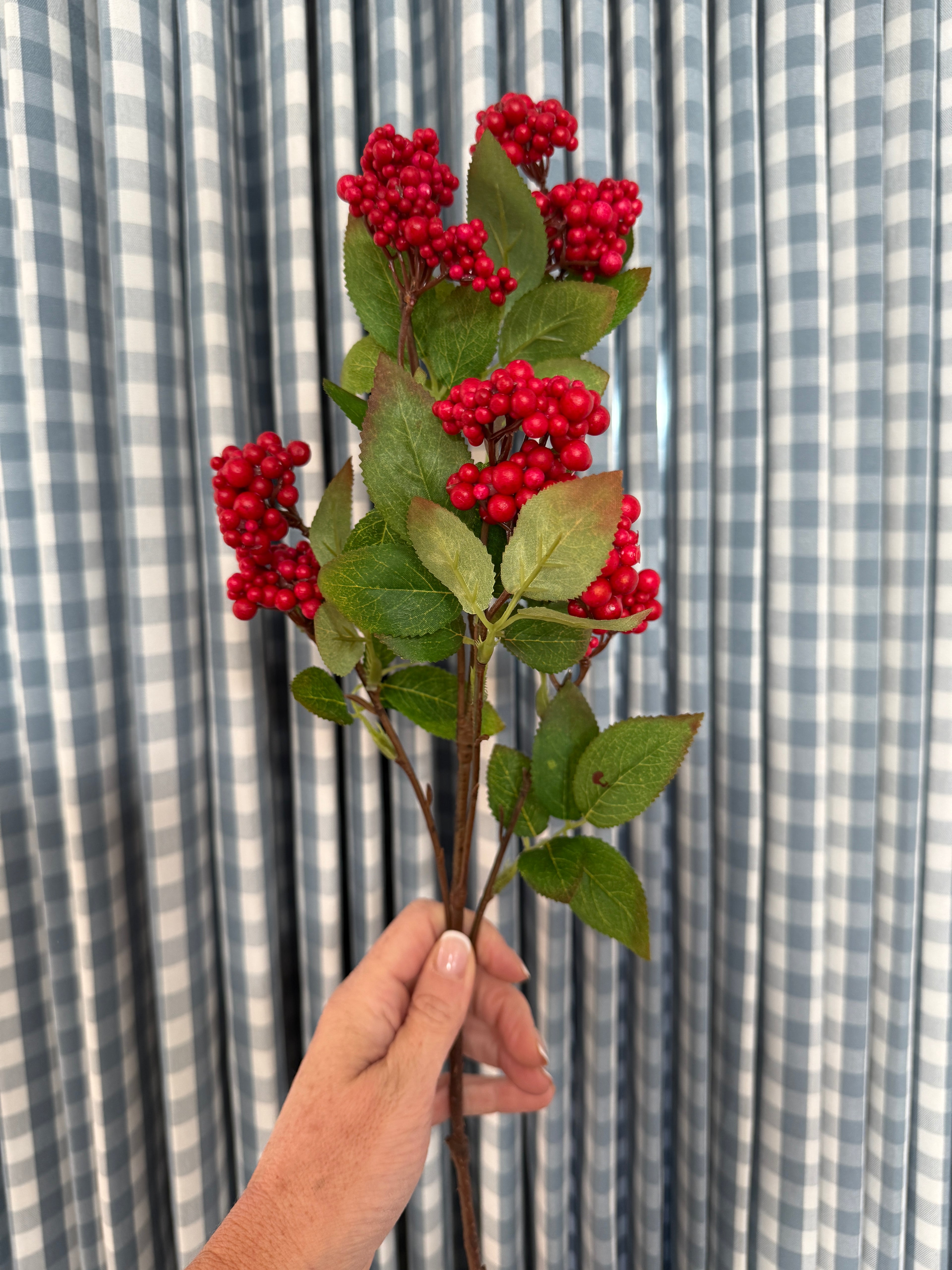 Red berry stem