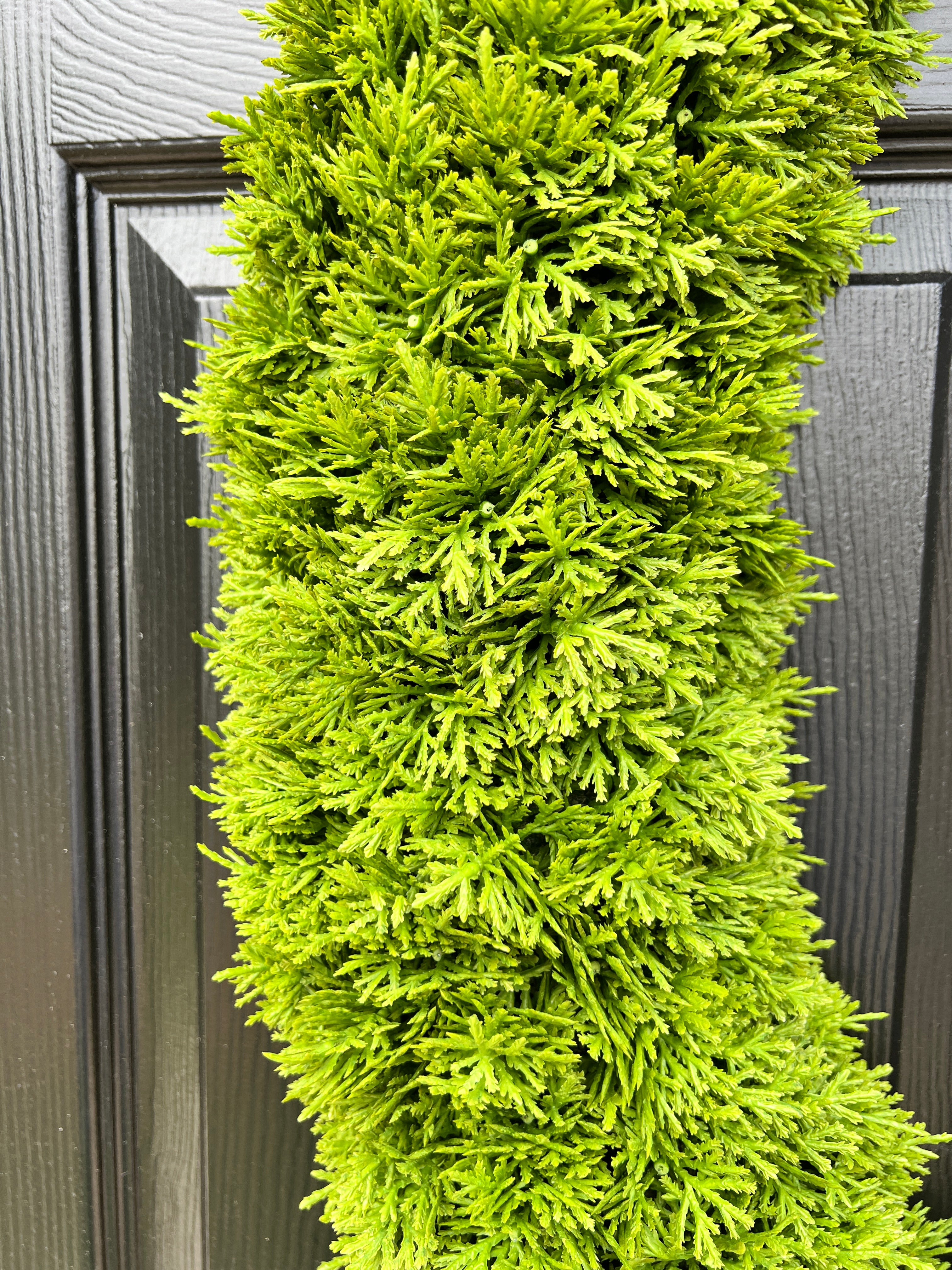 Oversized oval green wreath