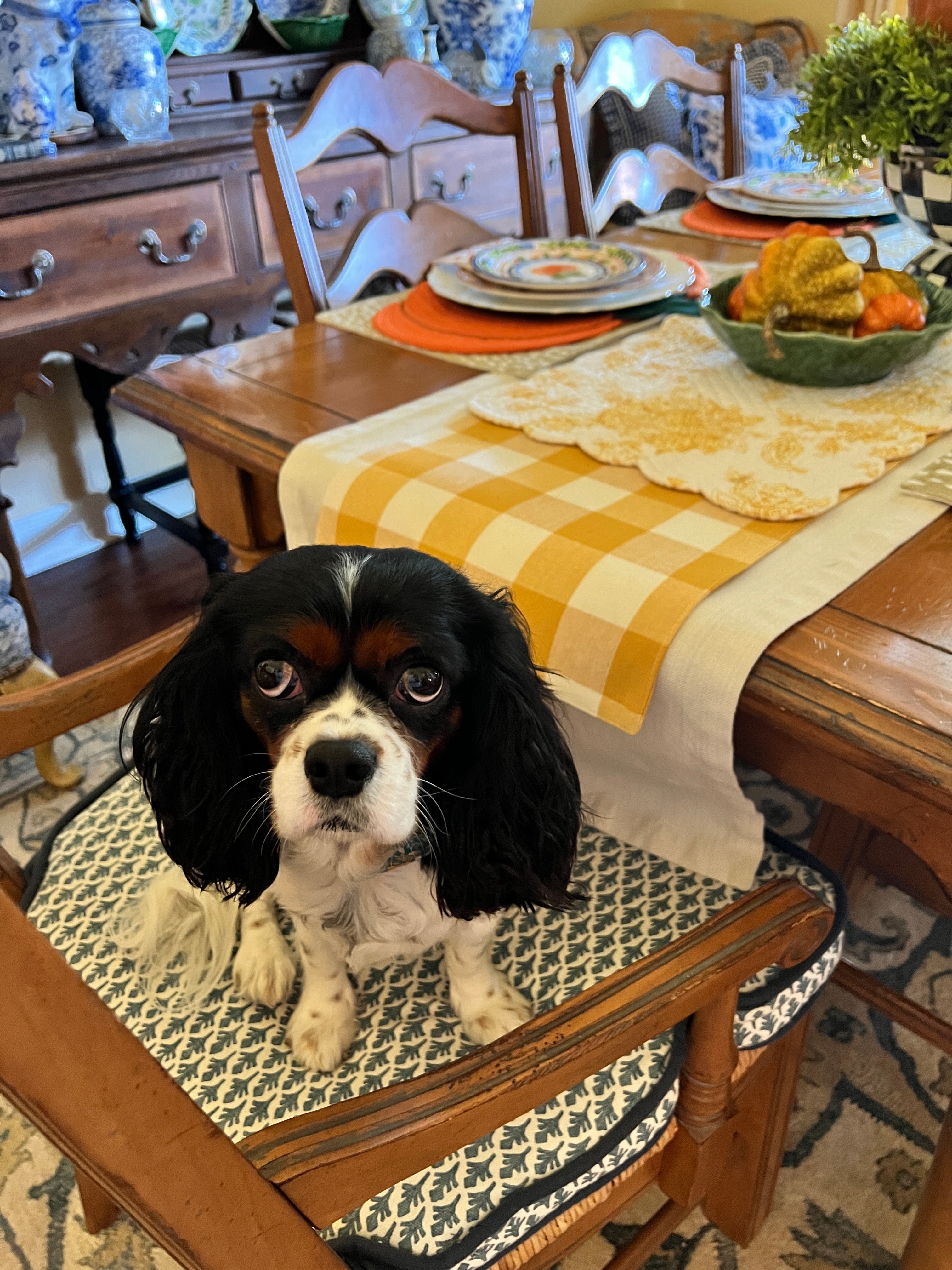 Golden yellow gingham table linens, set of 4 placemats or table runner