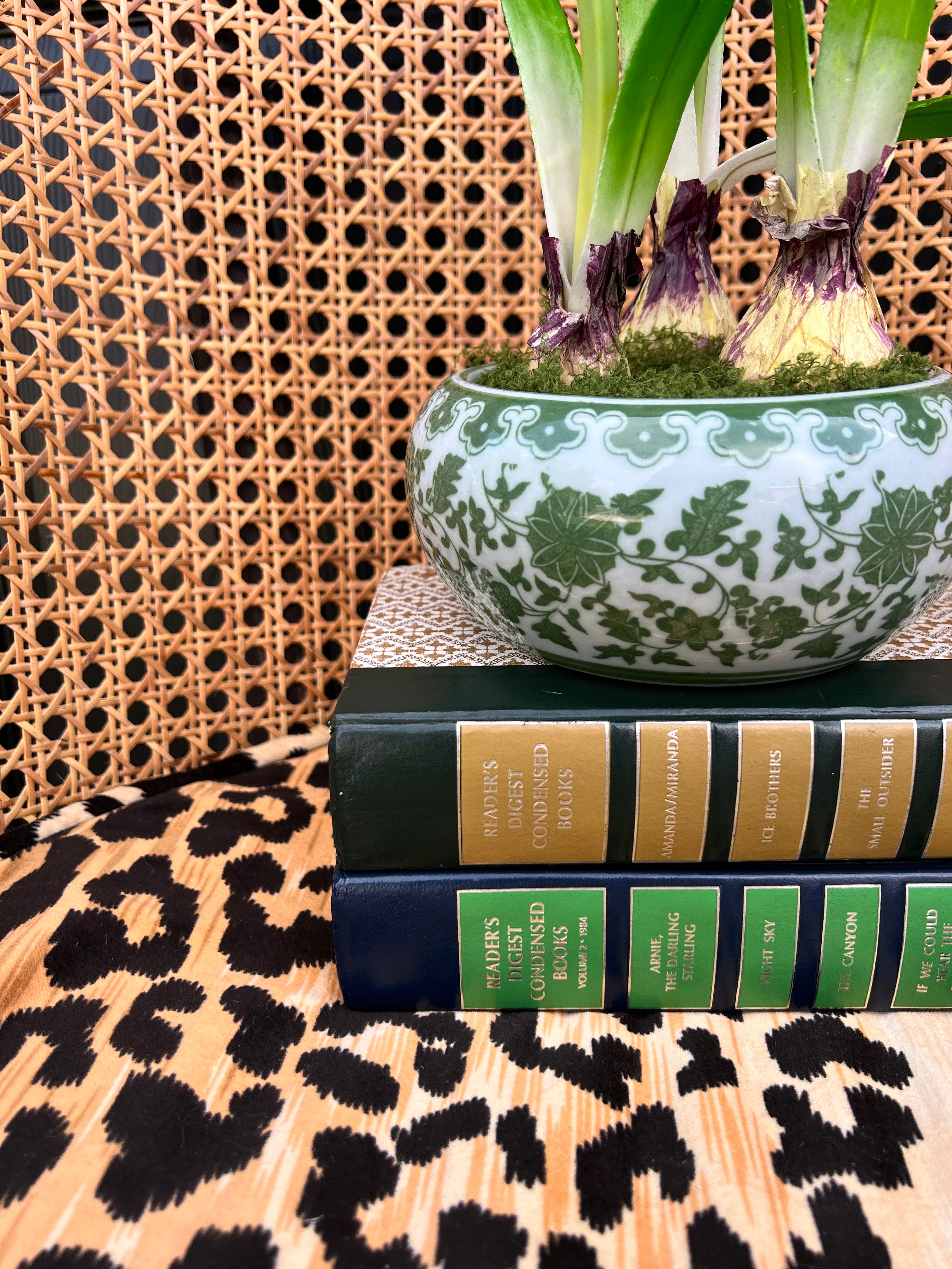 Faux Hyacinth bulbs in green and white chinoiserie planter
