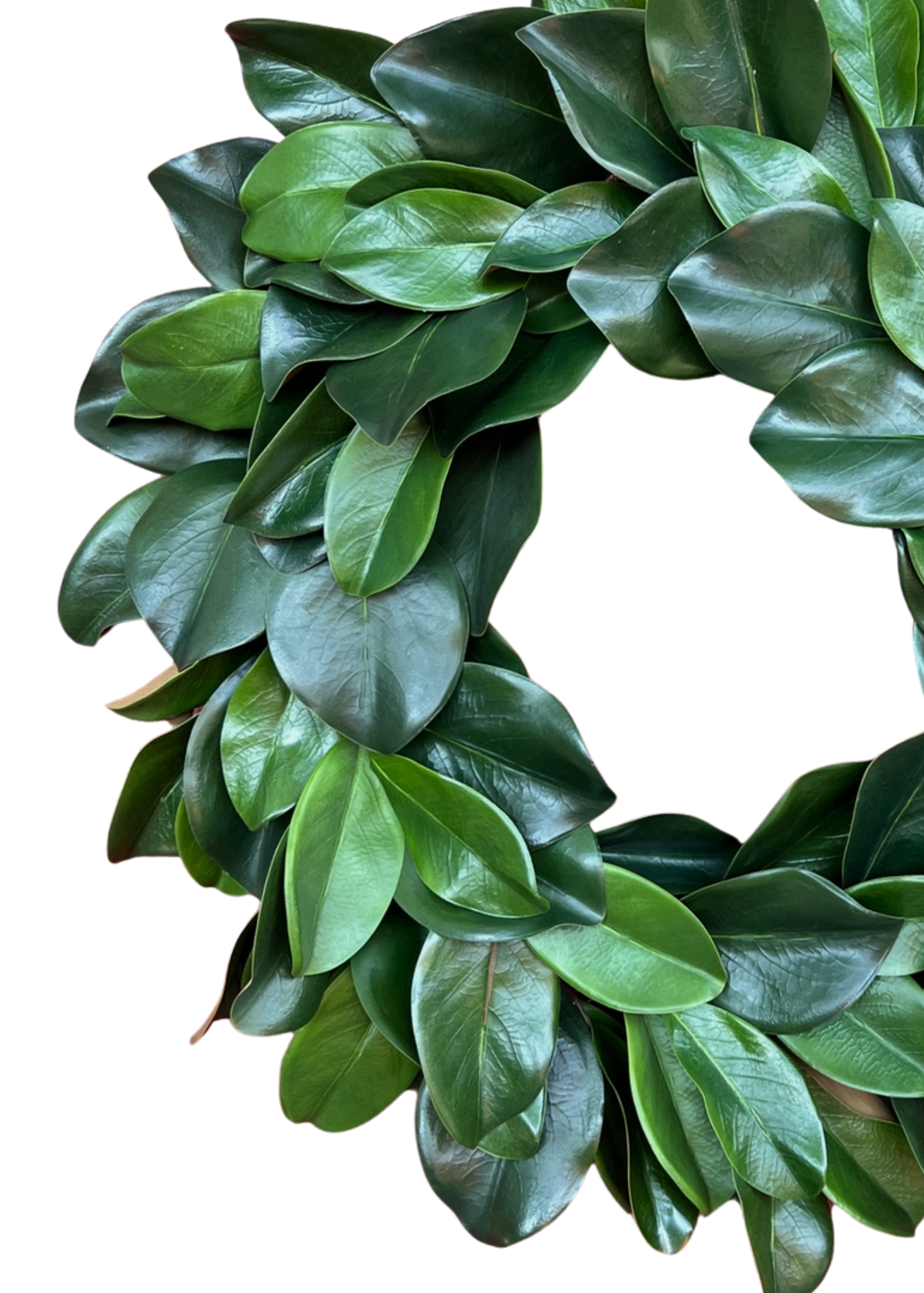 Deluxe large magnolia wreath 26”