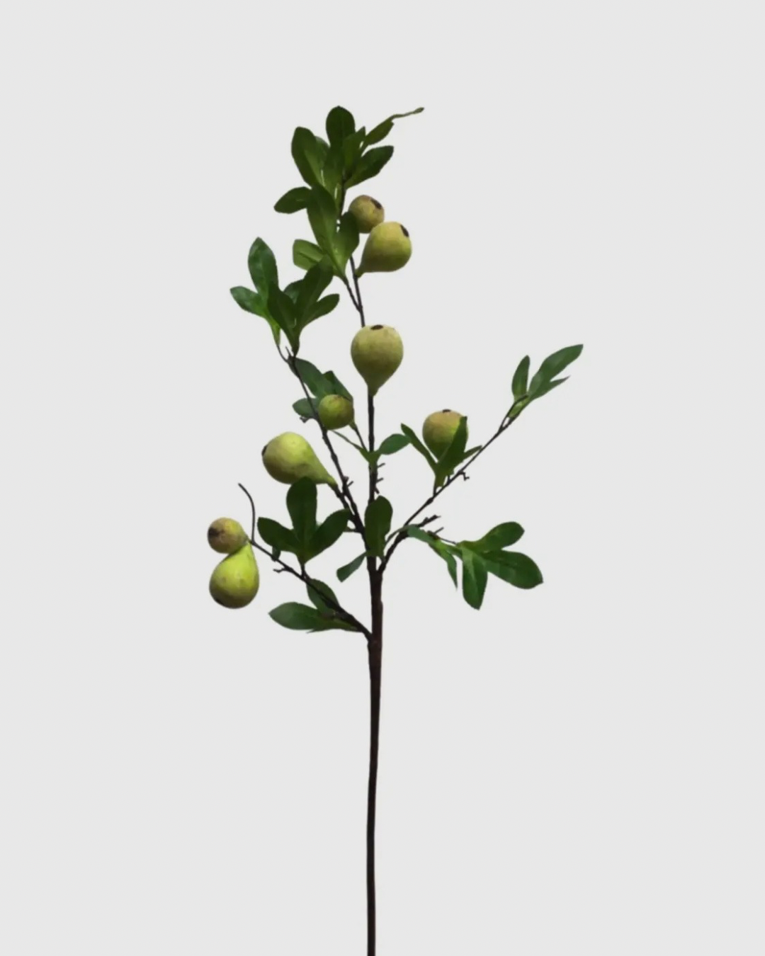 Faux botanical fig branch