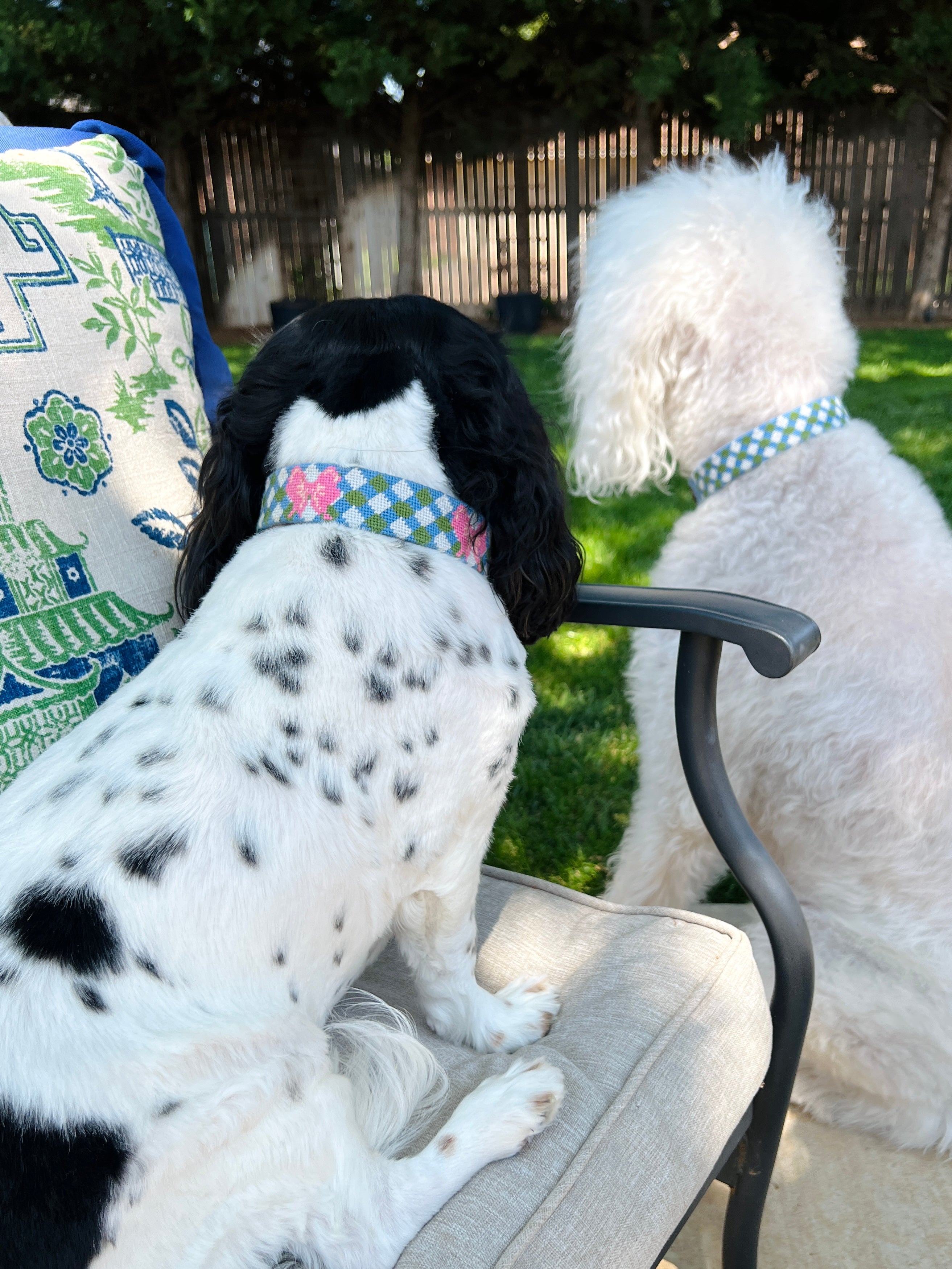 Needlepoint and leather dog collars