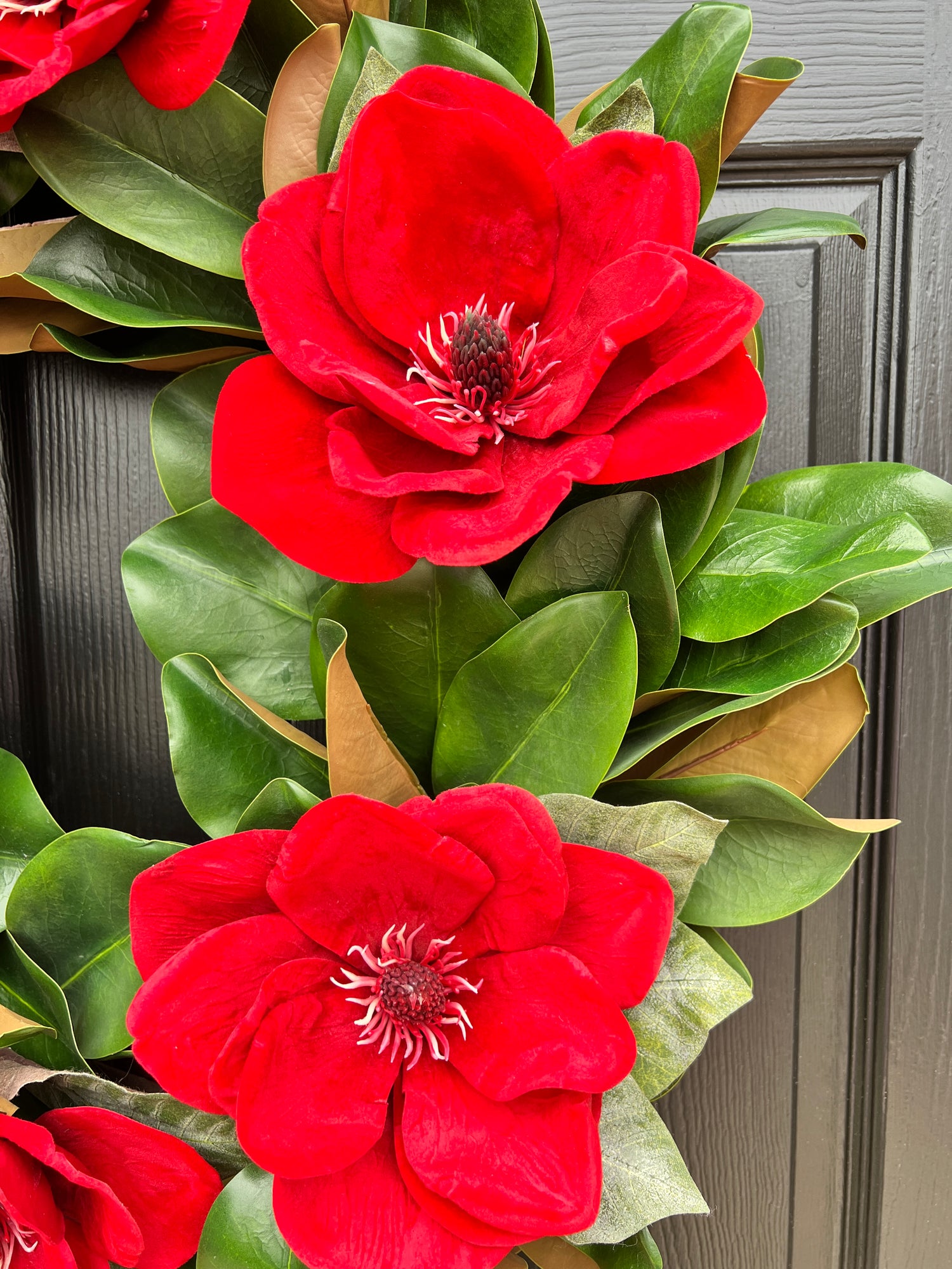 Red magnolia wreath