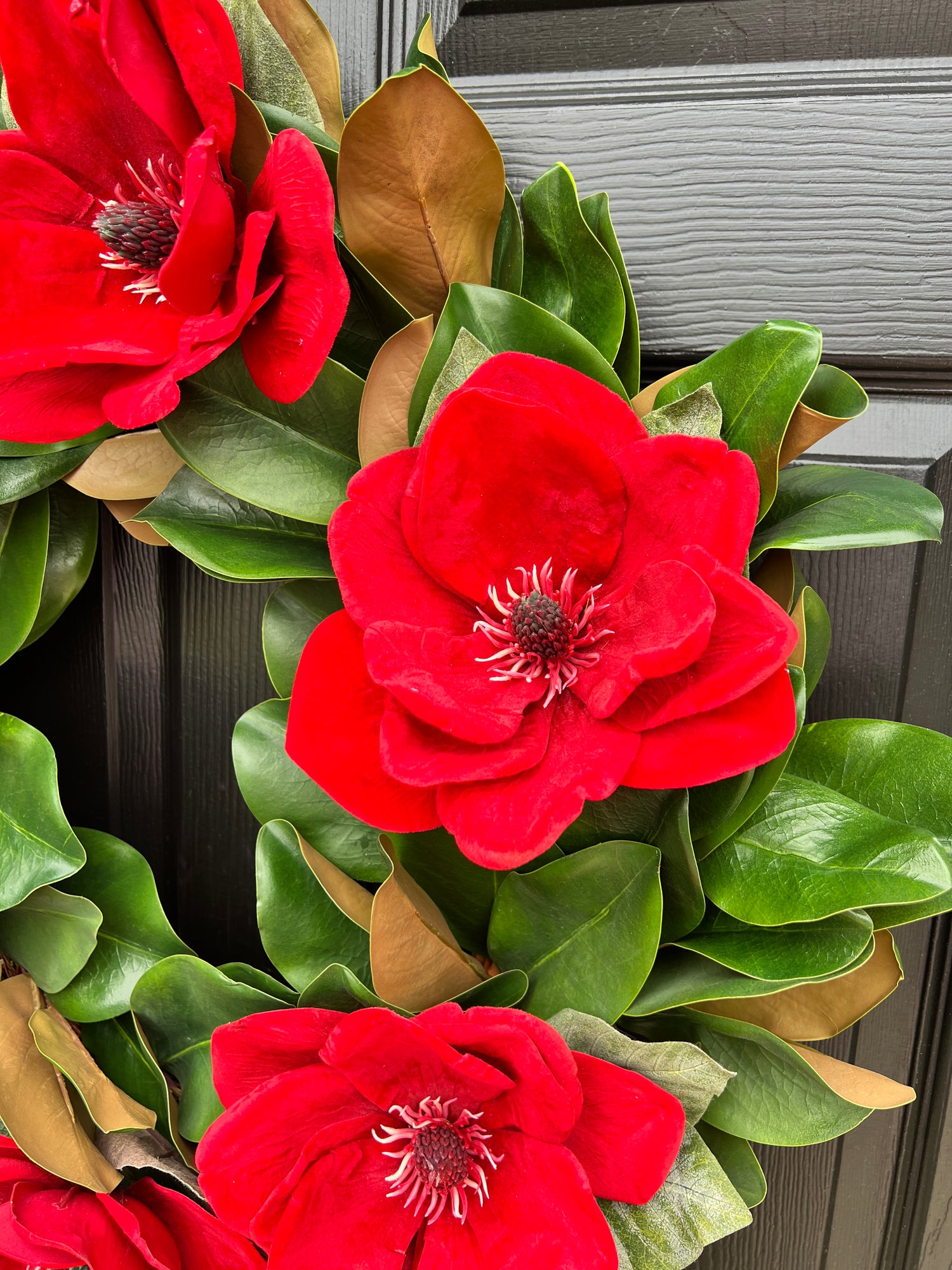 Red magnolia wreath