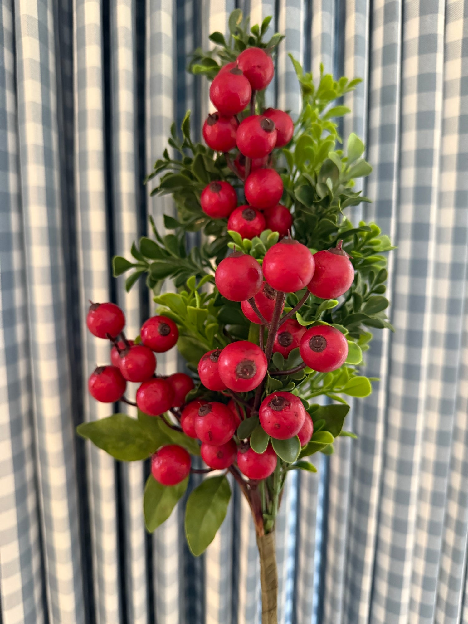 Red berries and boxwood stem