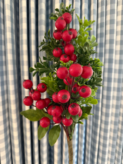 Red berries and boxwood stem