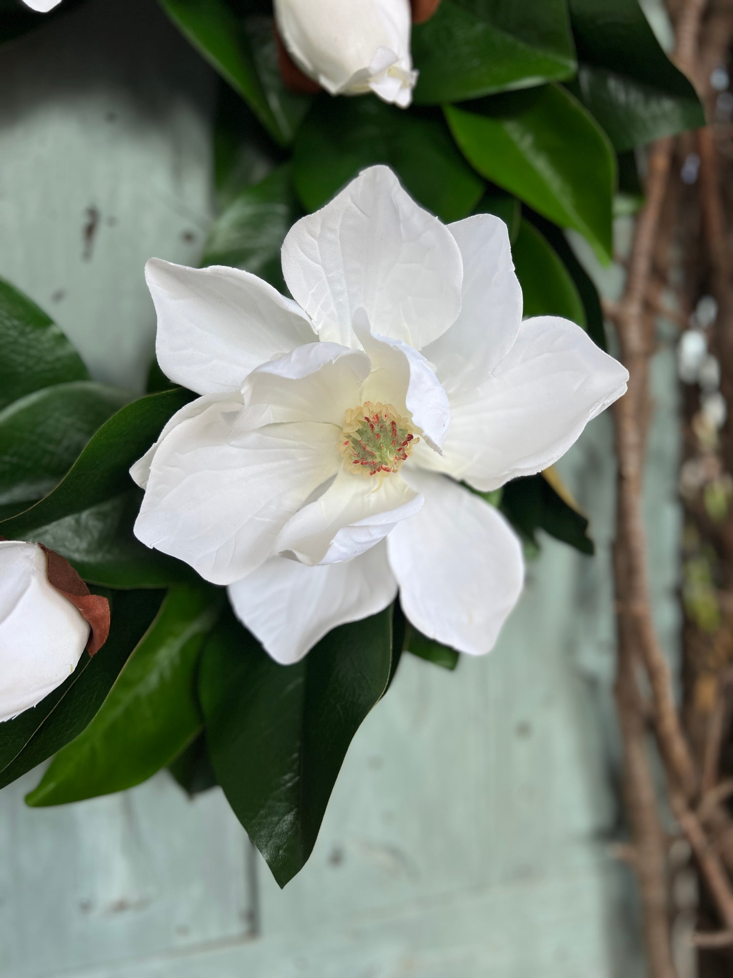 Cream magnolia wreath, 23”