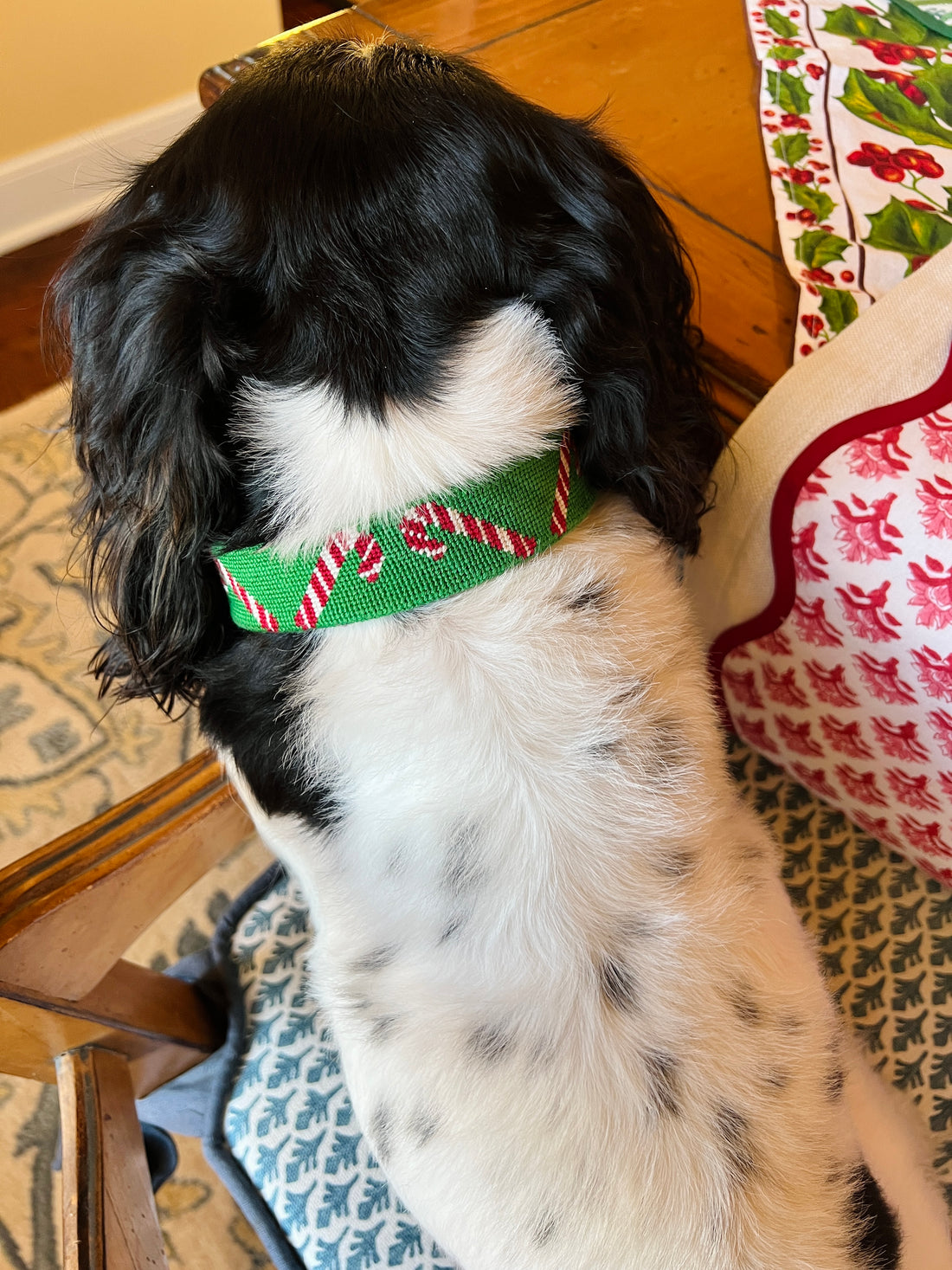 Needlepoint candy cane holiday dog collar