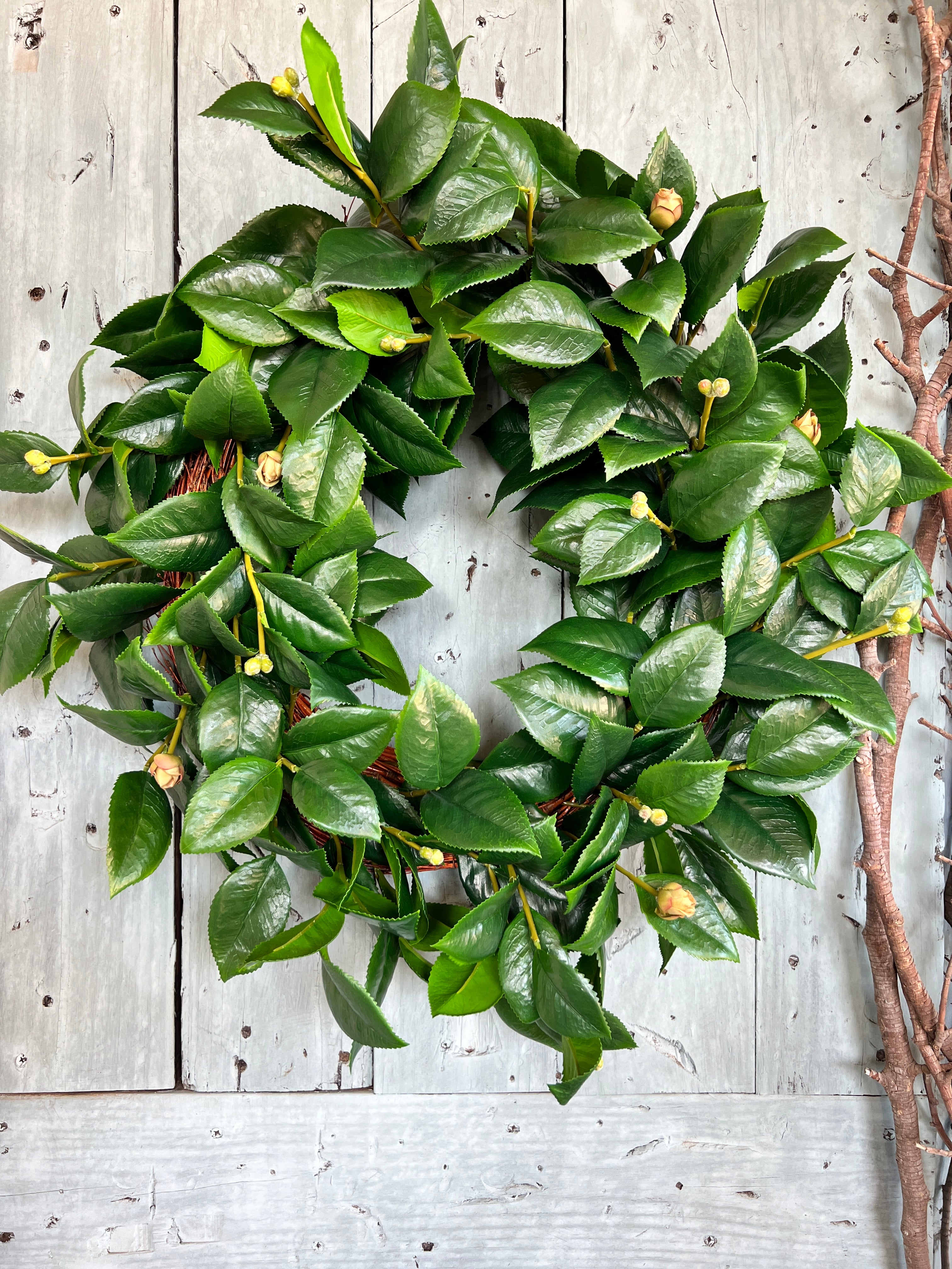 Camellia leaves wreath 26”