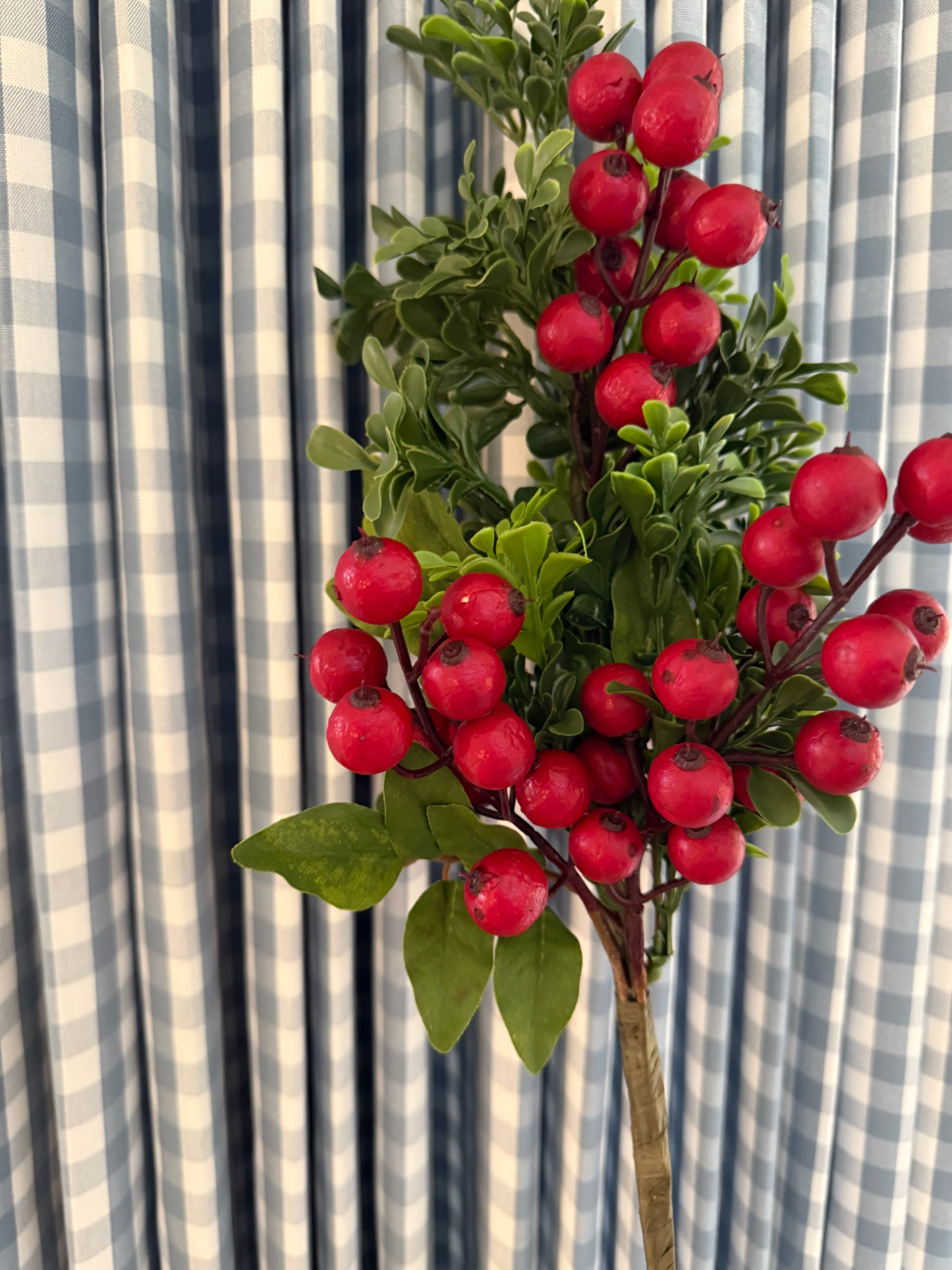 Red berries and boxwood stem