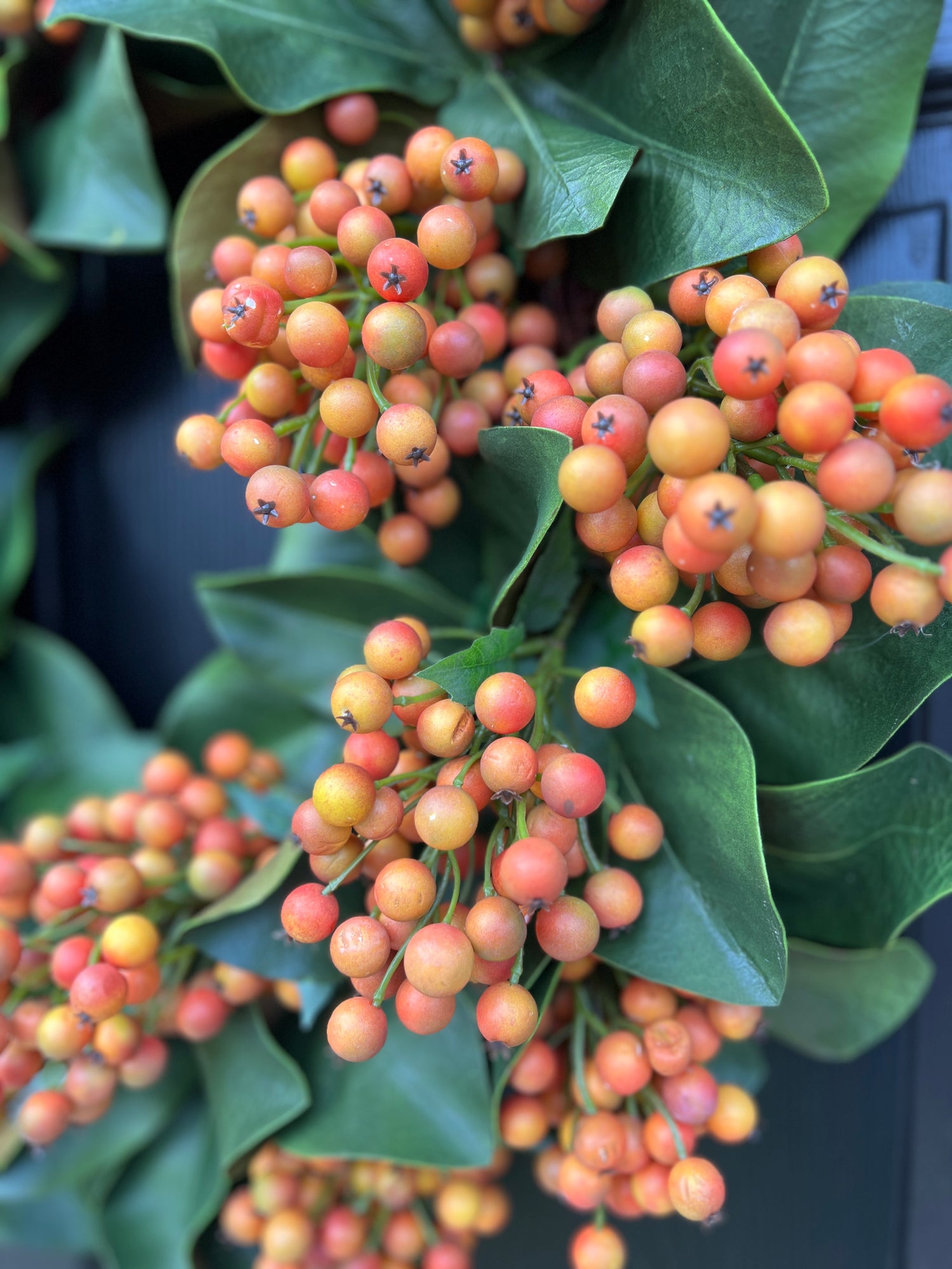 Fall berry and magnolia wreath