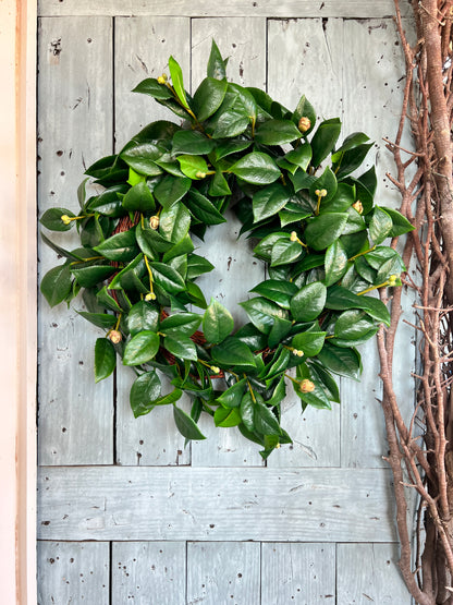 Camellia leaves wreath 26”