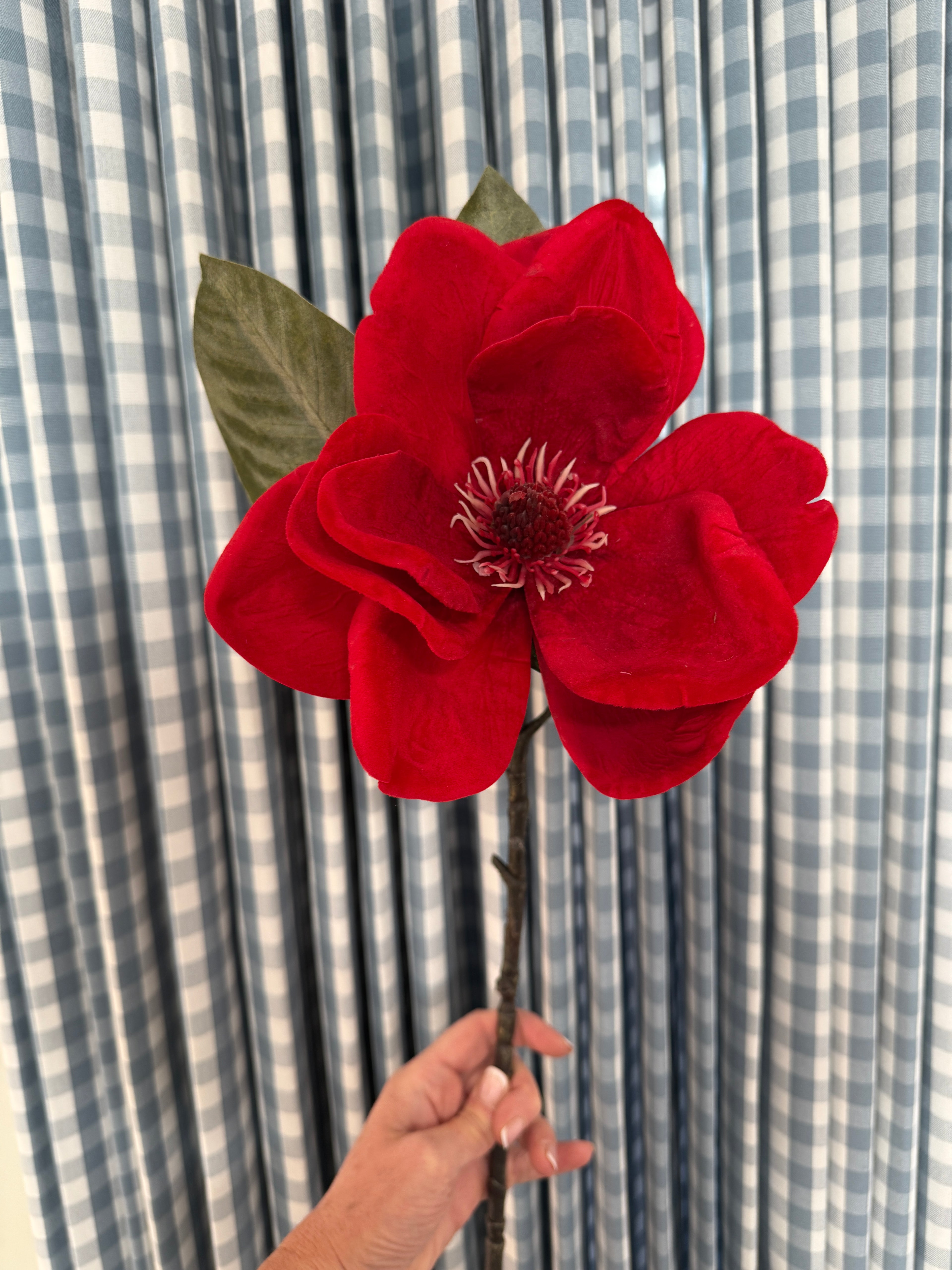 Red velvet magnolia stem