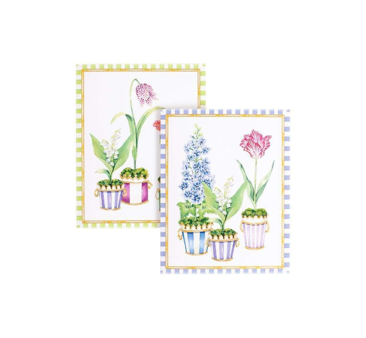 Caspari Window Garden boxed notecard set