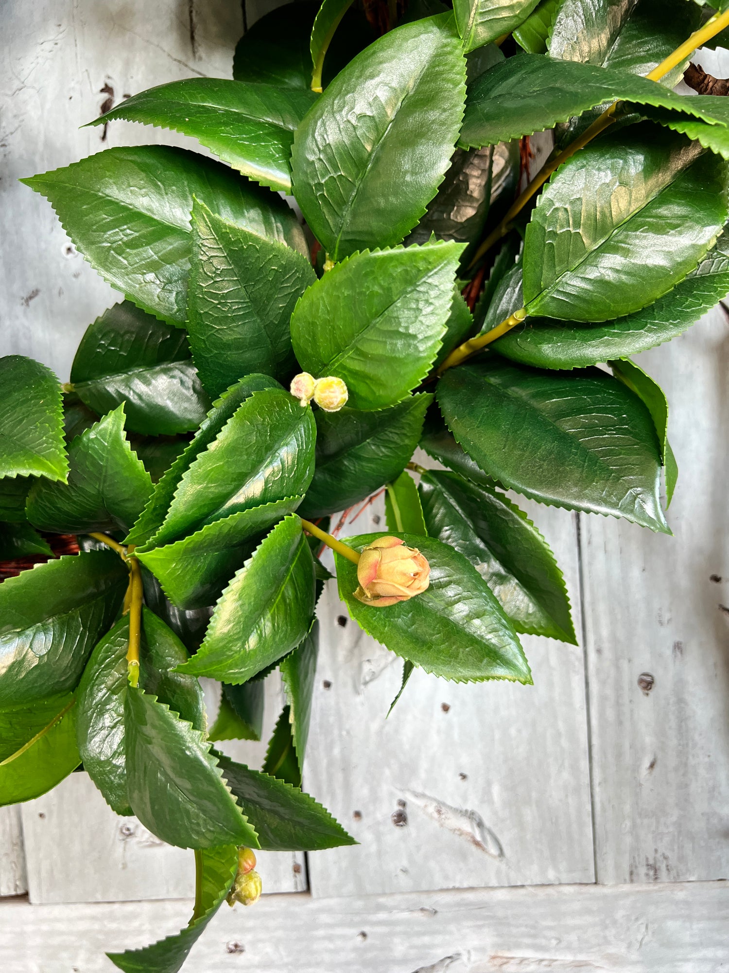 Camellia leaves wreath 26”