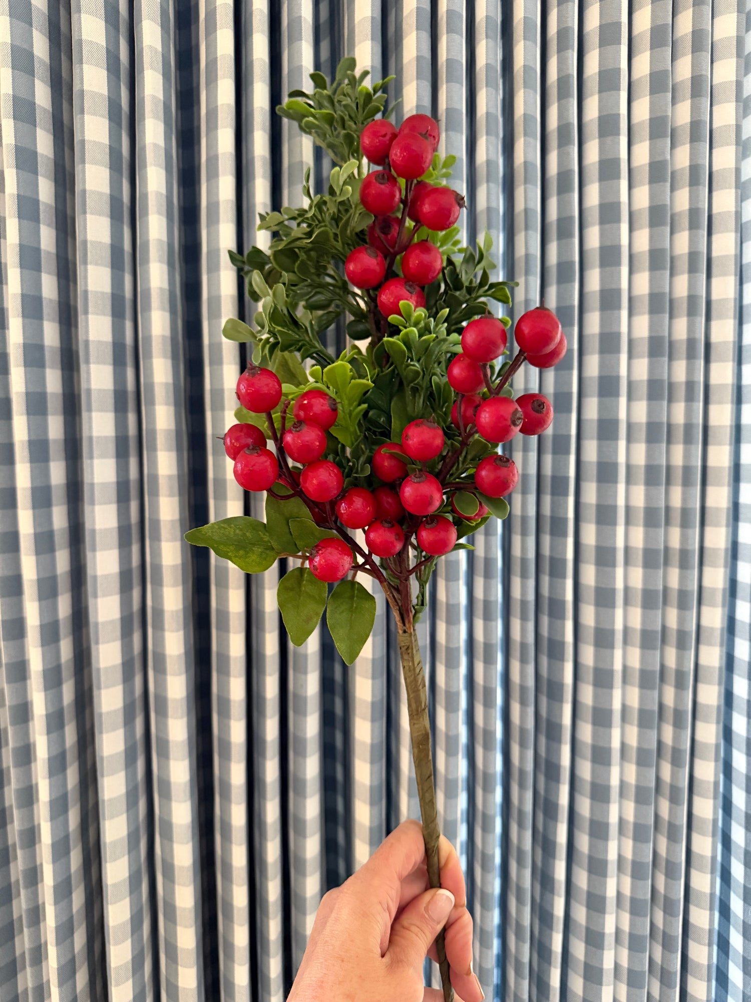 Red berries and boxwood stem