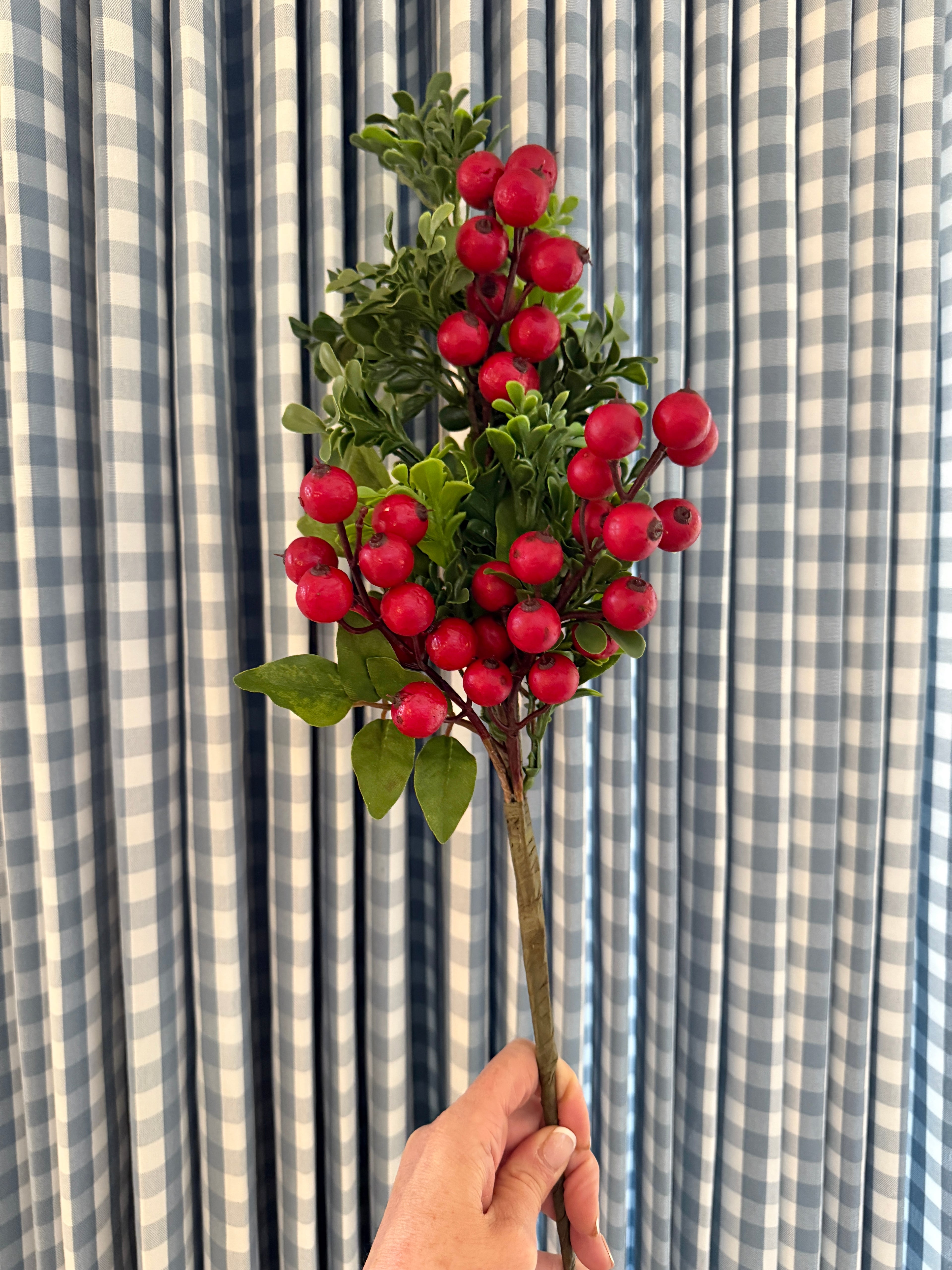 Red berries and boxwood stem