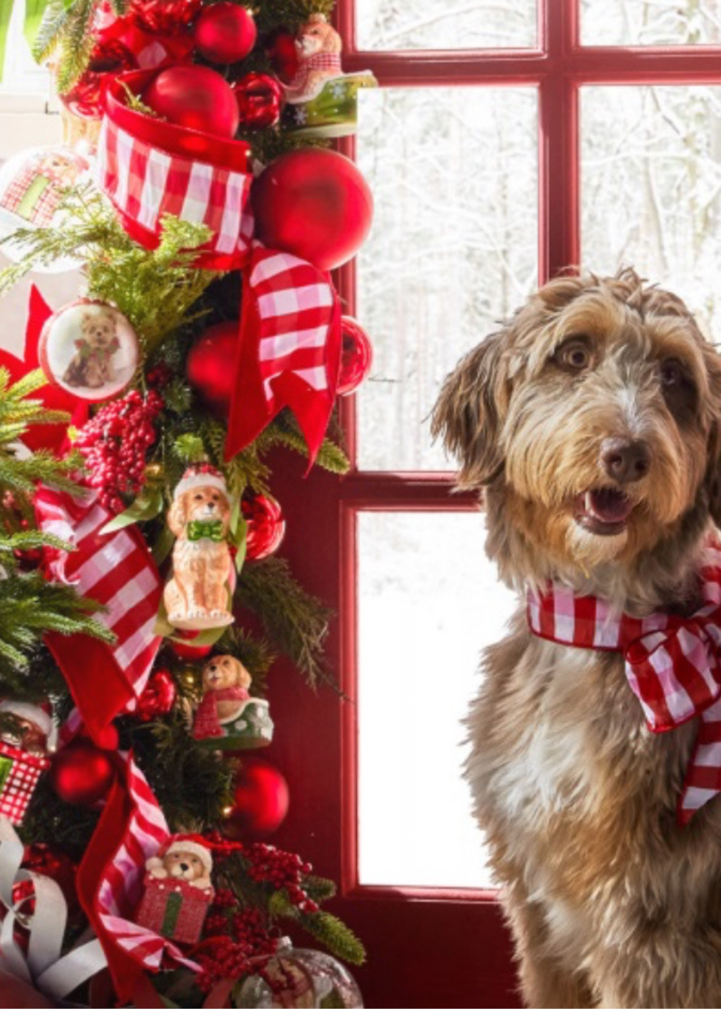 Large red check ribbon