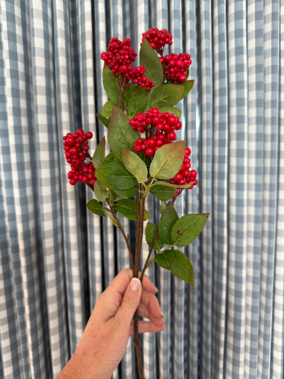 Red berry stem