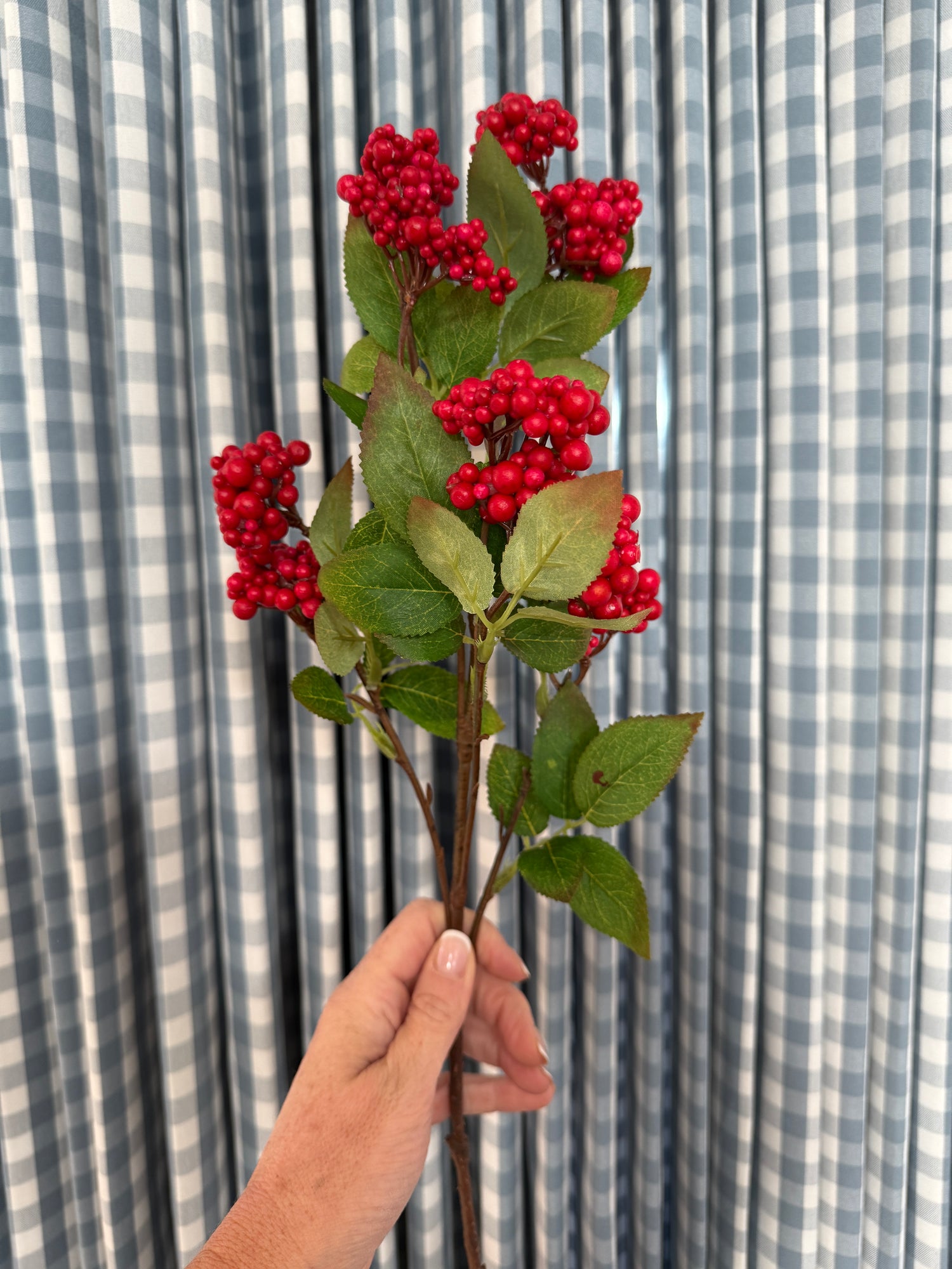 Red berry stem
