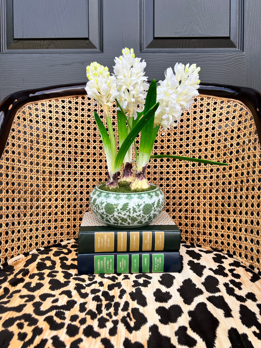 Faux Hyacinth bulbs in green and white chinoiserie planter