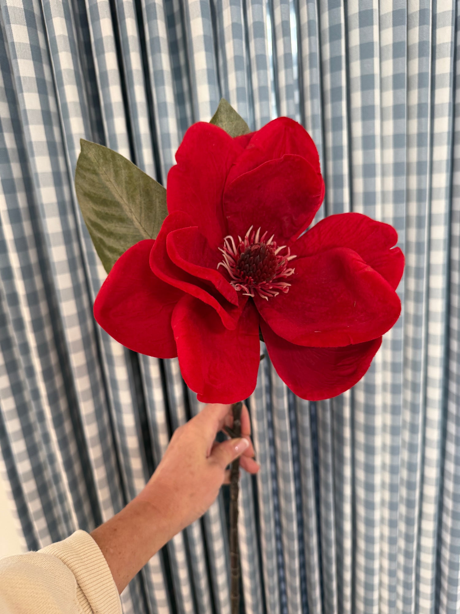 Red velvet magnolia stem