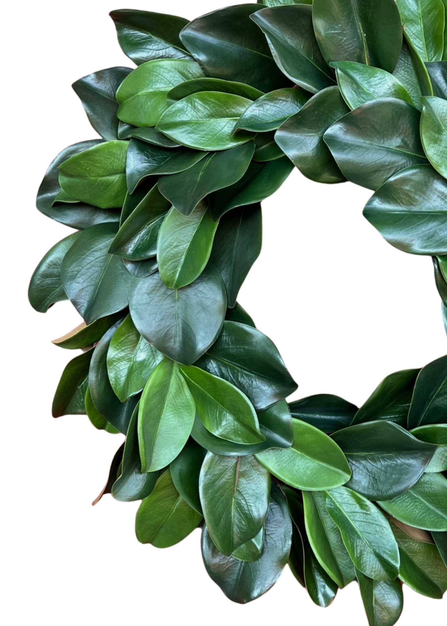 Deluxe large magnolia wreath