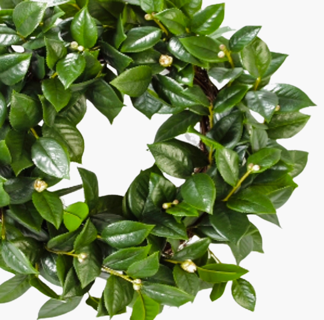 Camellia leaves wreath 26”