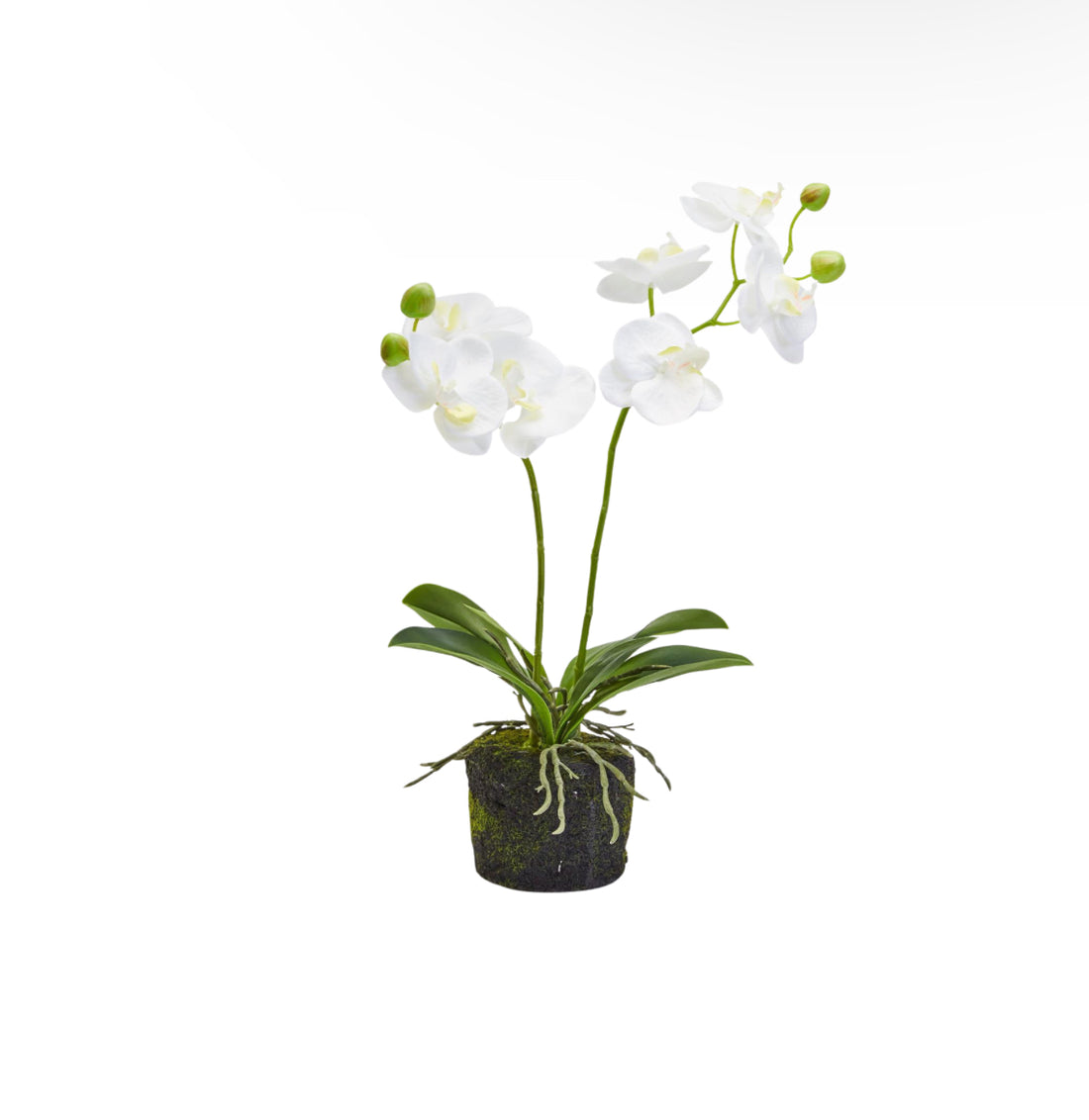 White faux orchid with moss base