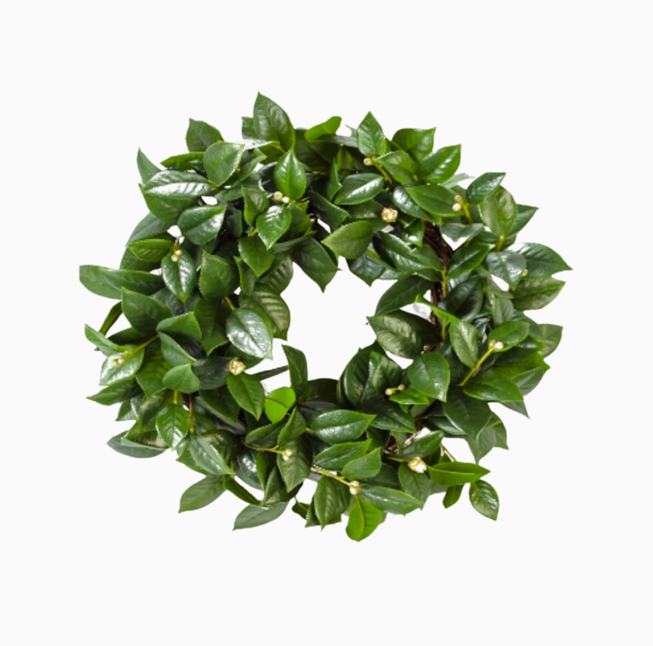 Camellia leaves wreath 26”