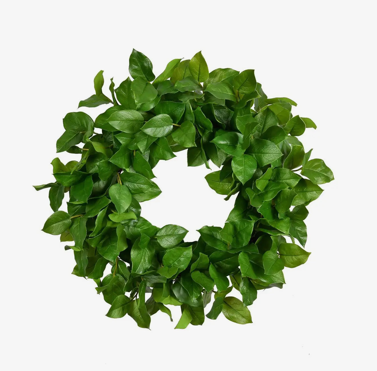 Lemon leaf wreath 28”
