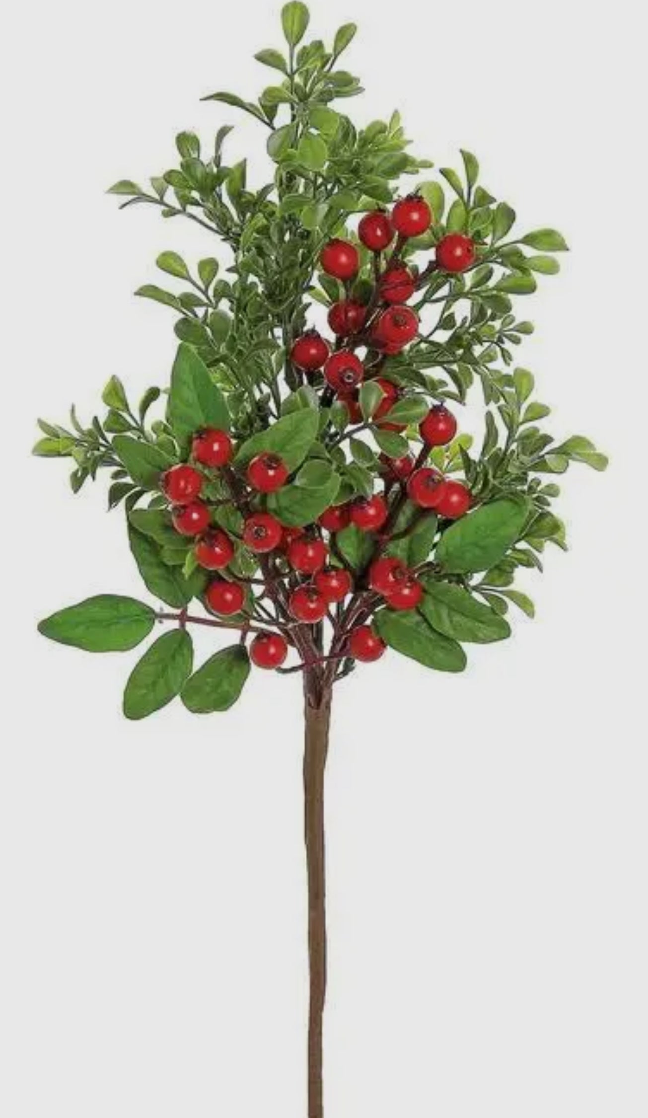 Red berries and boxwood stem