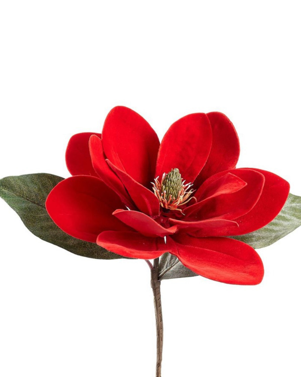 Red velvet magnolia stem