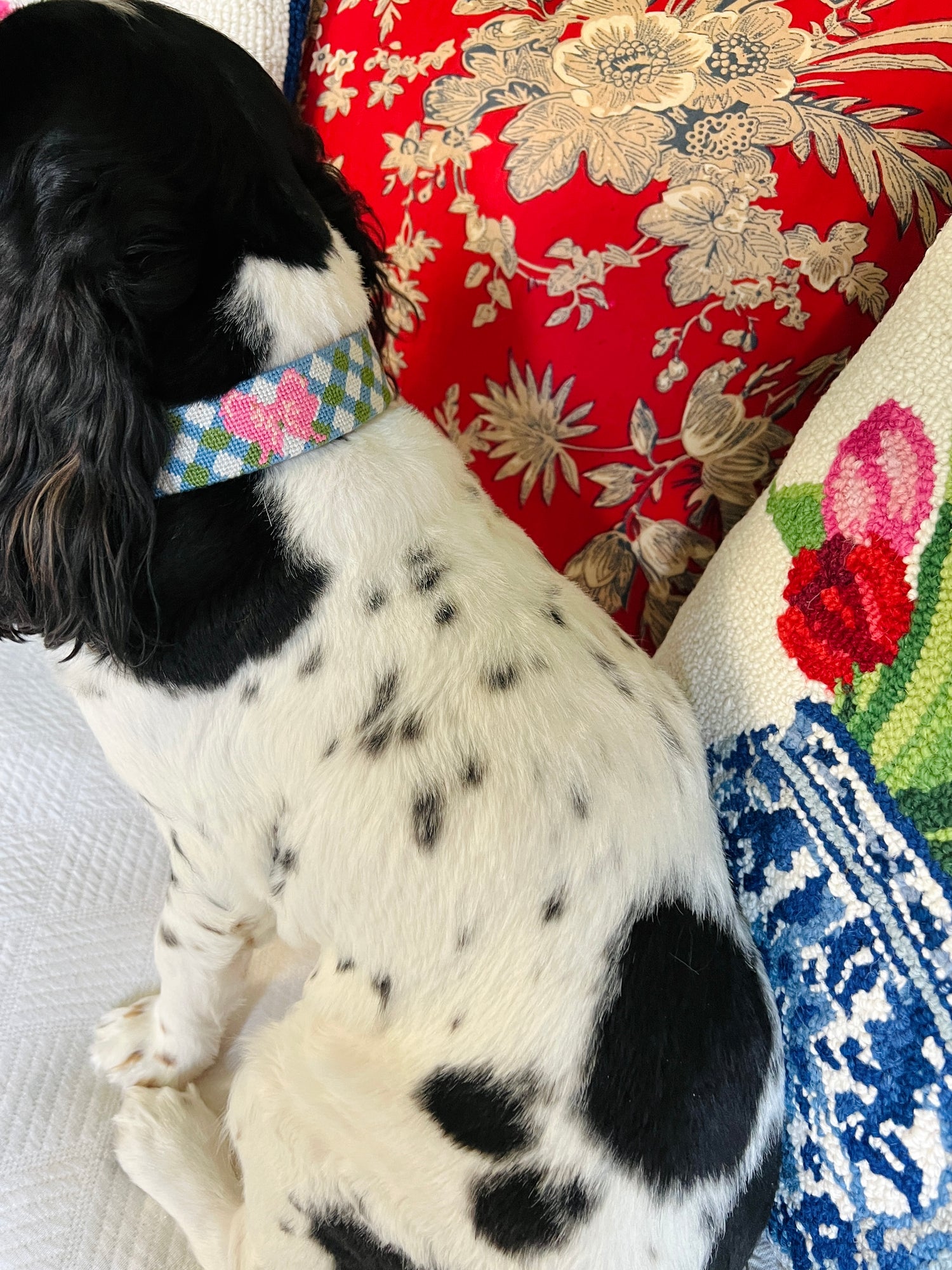 Needlepoint and leather dog collars