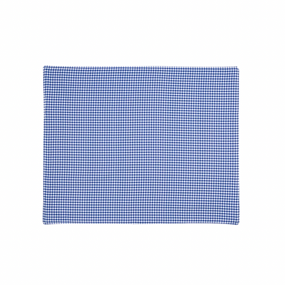 Tiny blue gingham placemat set of 4