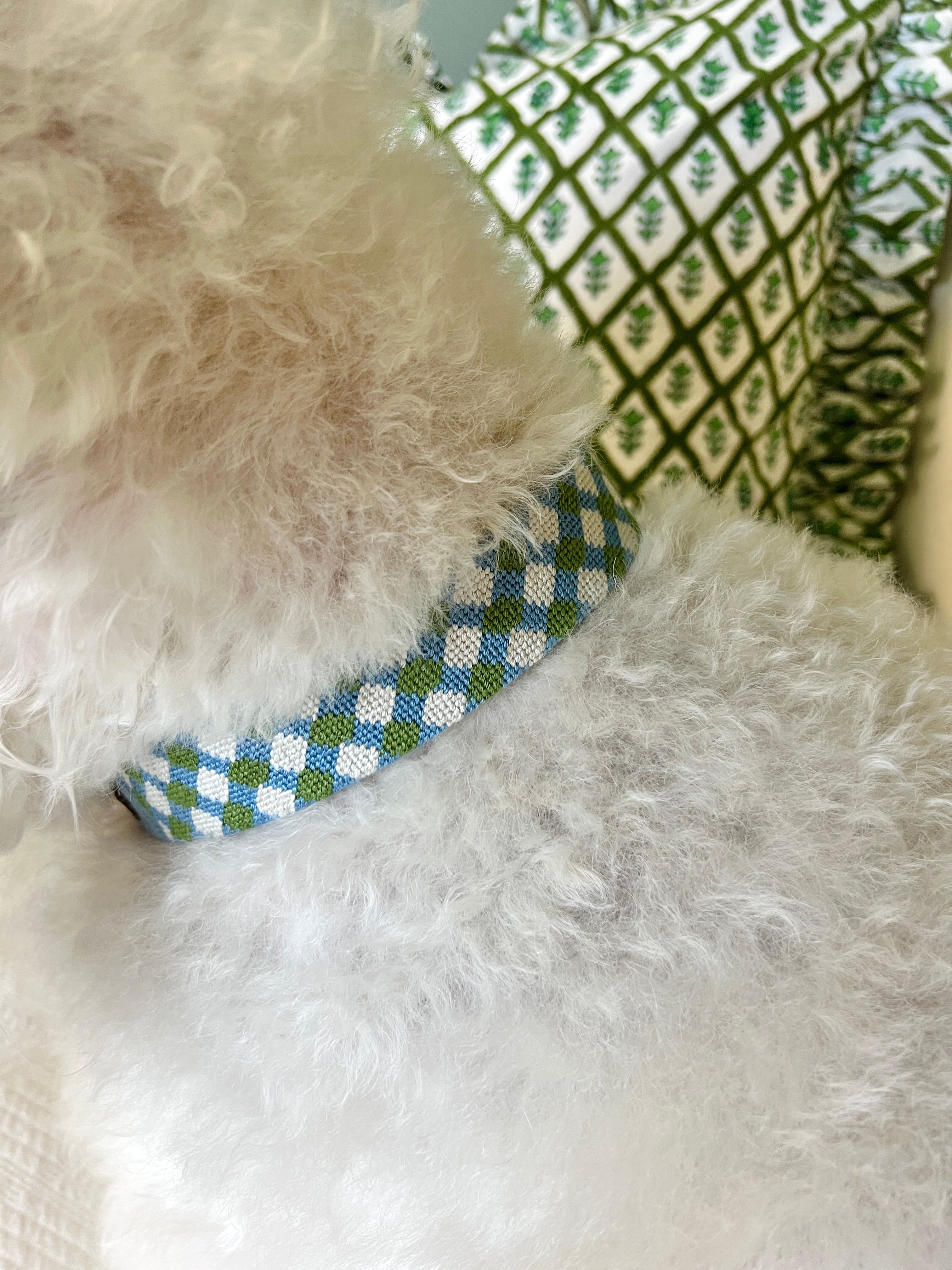 Needlepoint and leather dog collars