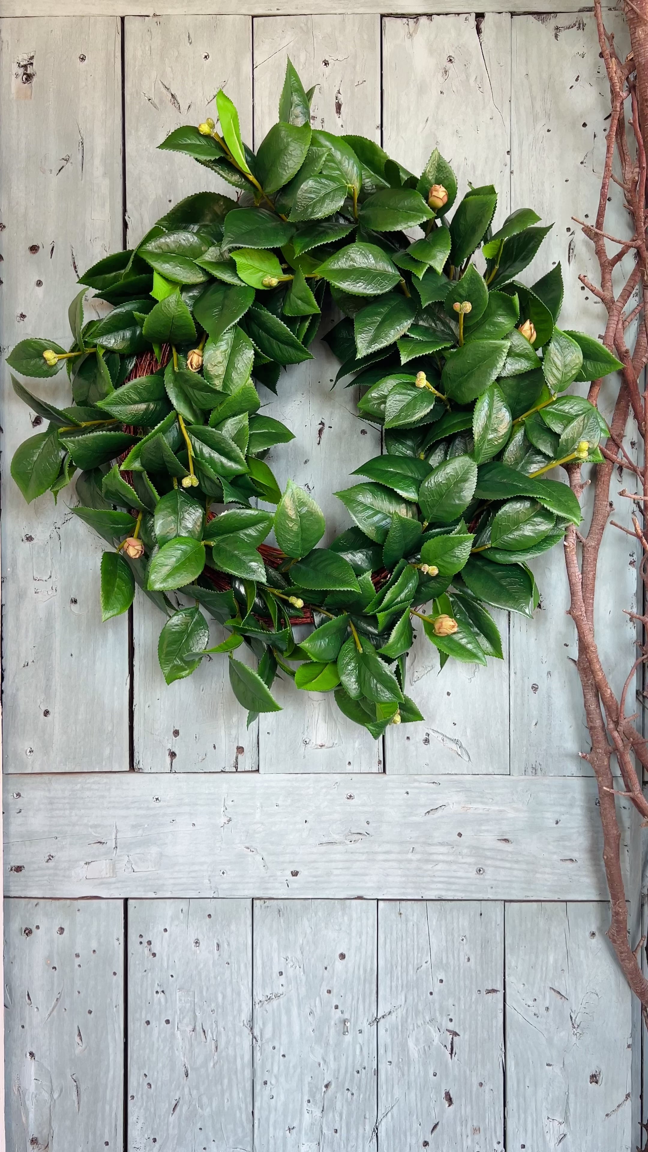 Camellia leaves wreath 26”