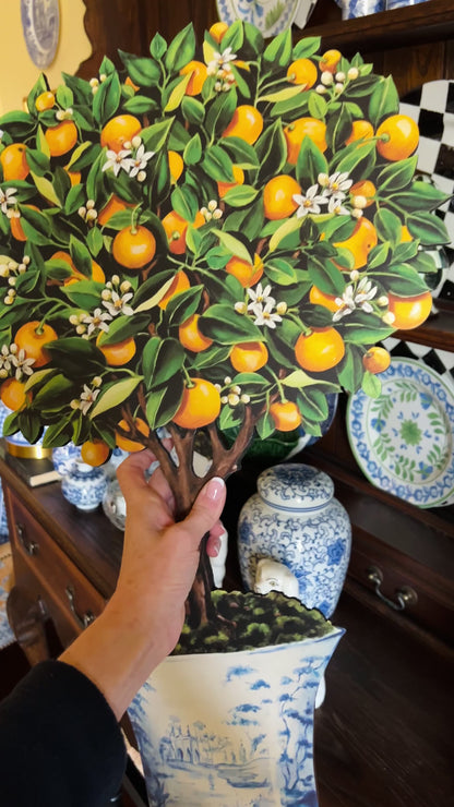 Calamondin Orange Topiary by Katharine Barnwell