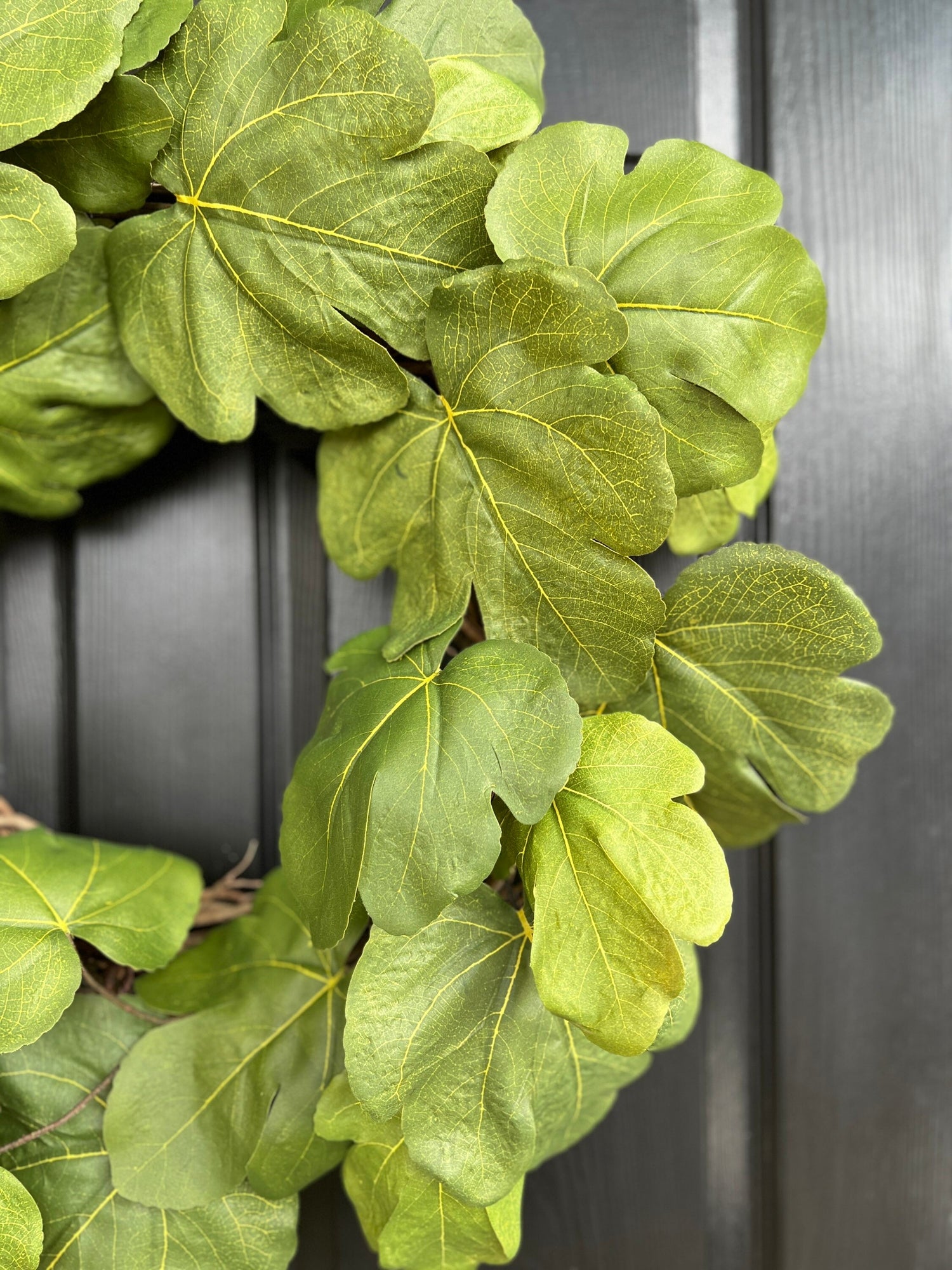 Fig leaf all green wreath 28”