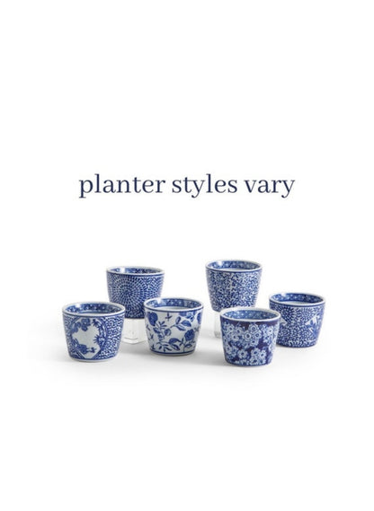 Petite faux floral arrangement in blue and white chinoiserie pot